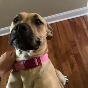 Meet your Posher, Cory